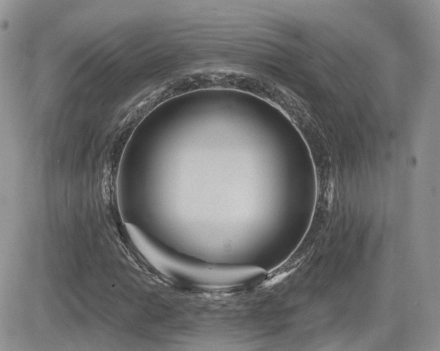 X0000082761014200701261442