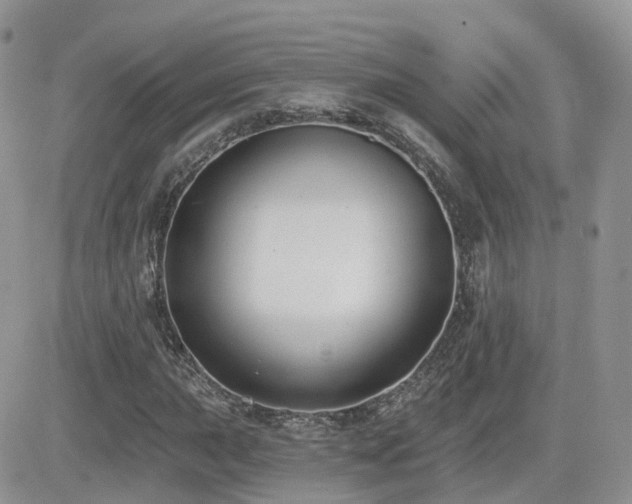 X0000082761015200701261442