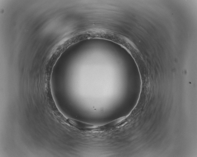 X0000082761016200701261442