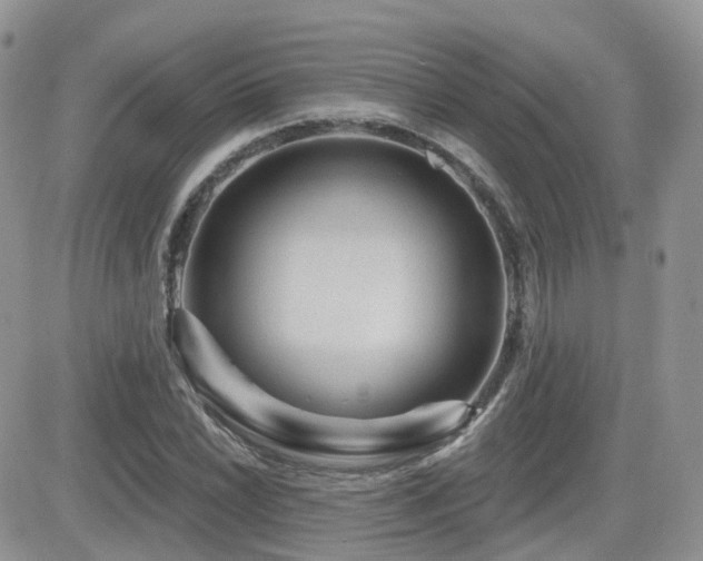X0000082761022200701261442