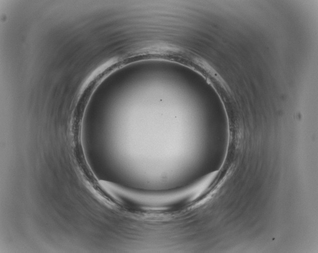 X0000082761026200701261442
