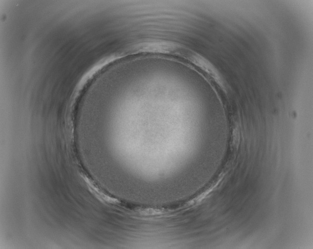 X0000082761027200701261442