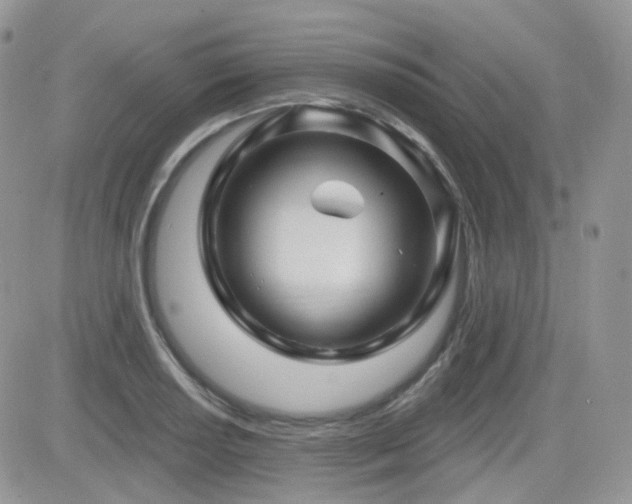 X0000082761034200701261442