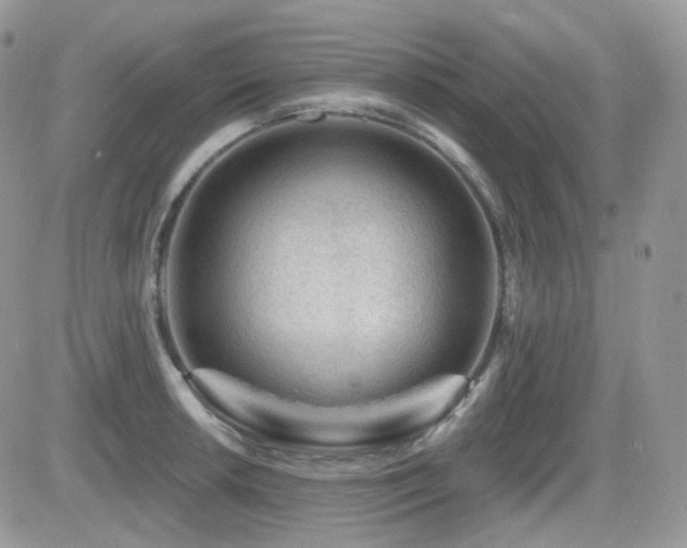 X0000082761042200701261442