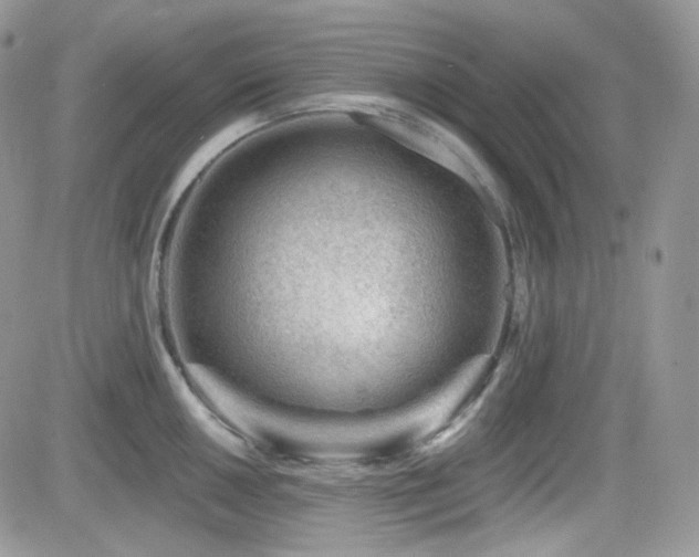 X0000082761050200701261442