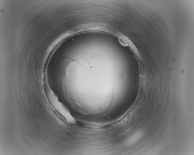 X0000082761051200701261442