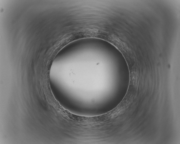 X0000082761057200701261442