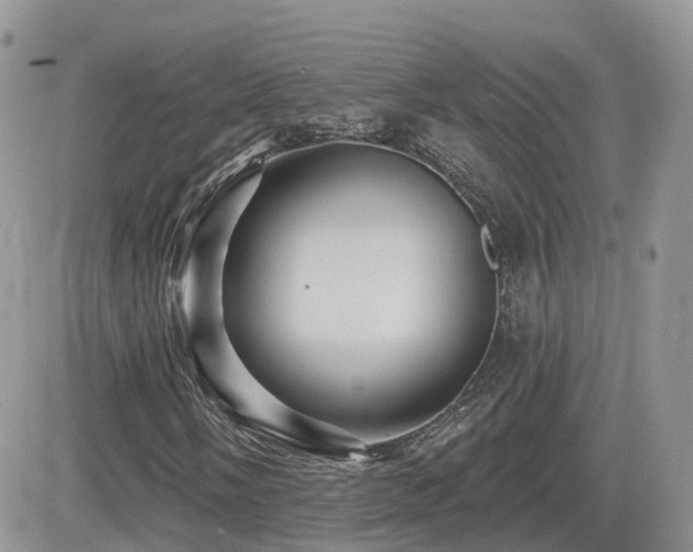 X0000082761058200701261442