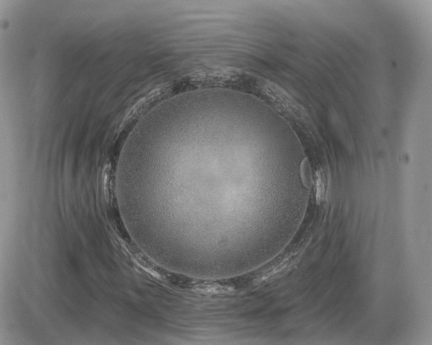 X0000082761059200701261441