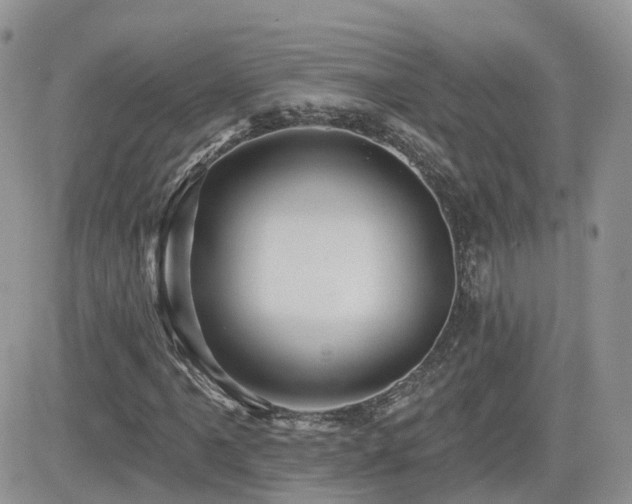 X0000082761061200701261441