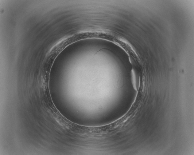 X0000082761064200701261441