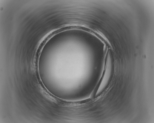 X0000082761068200701261441