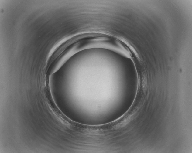 X0000082761069200701261441
