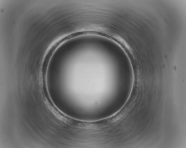 X0000082761072200701261441