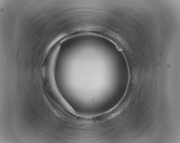 X0000082761073200701261441