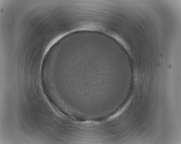 X0000082761077200701261441