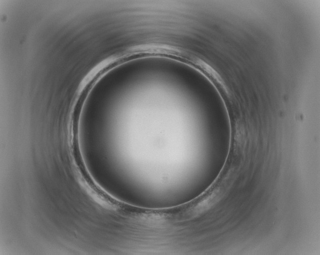 X0000082761082200701261441