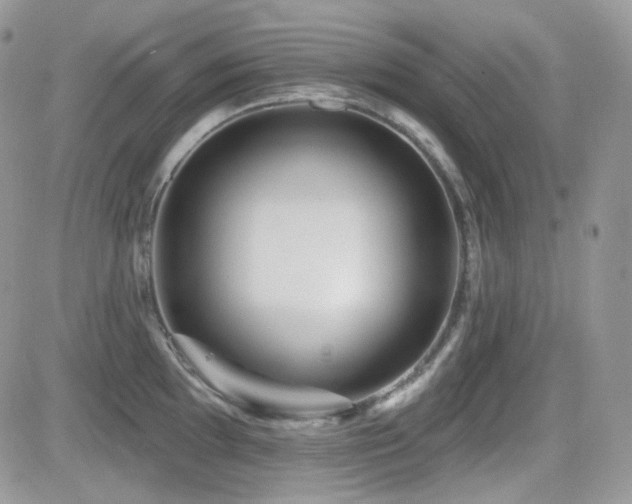 X0000082761097200701261441