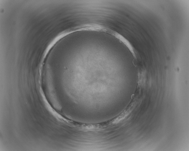 X0000082761099200701261441