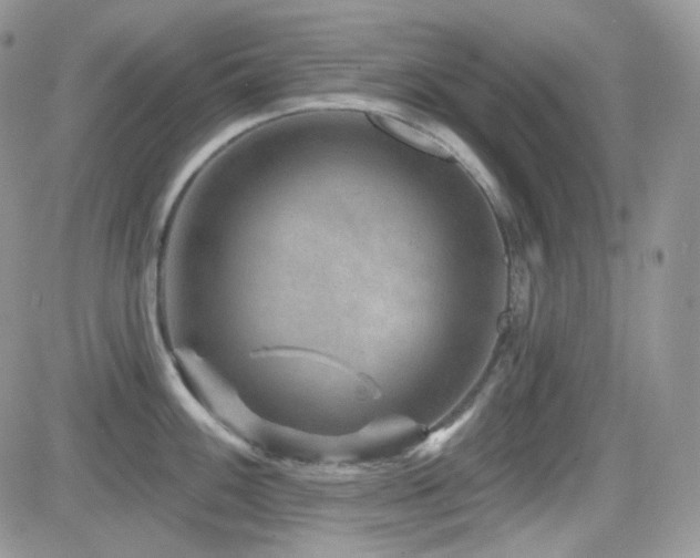 X0000082761100200701261441