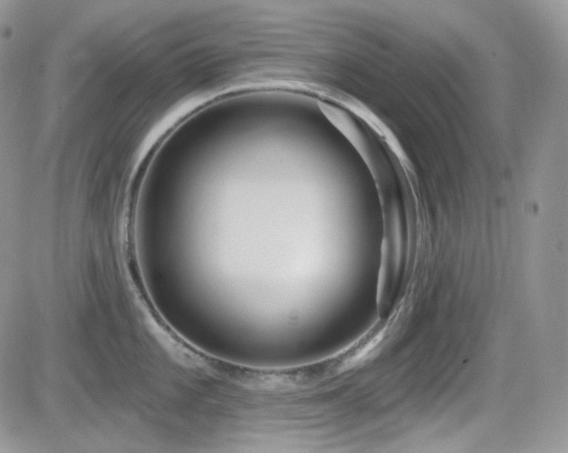 X0000082761101200701261441