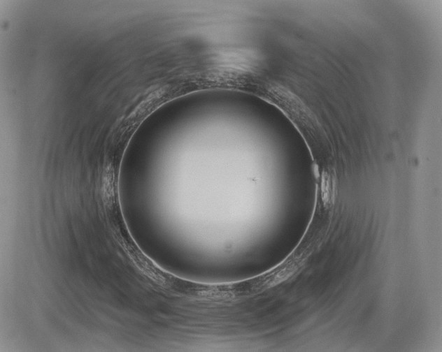 X0000082761107200701261440