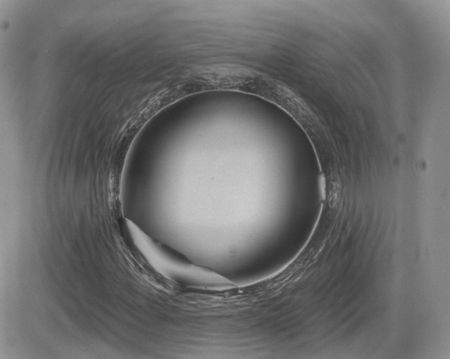 X0000082761108200701261440