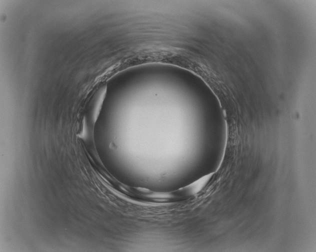 X0000082761109200701261440