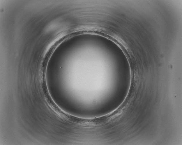 X0000082761119200701261440