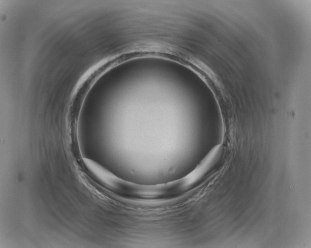X0000082761120200701261440