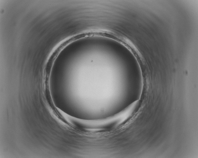 X0000082761124200701261440
