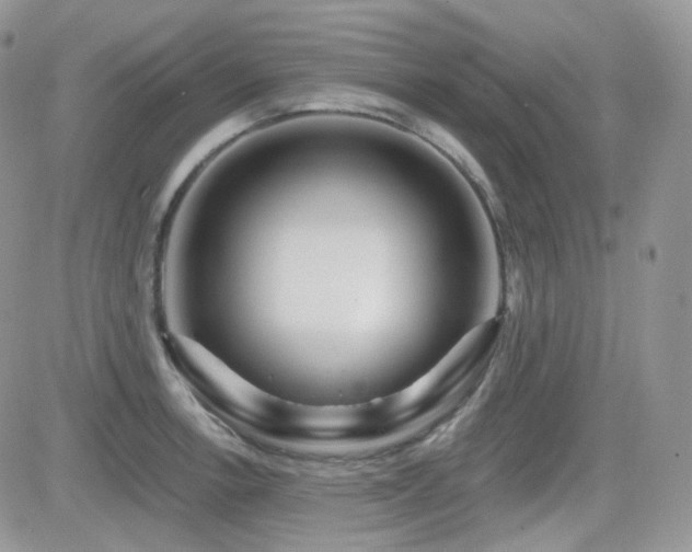 X0000082761138200701261441