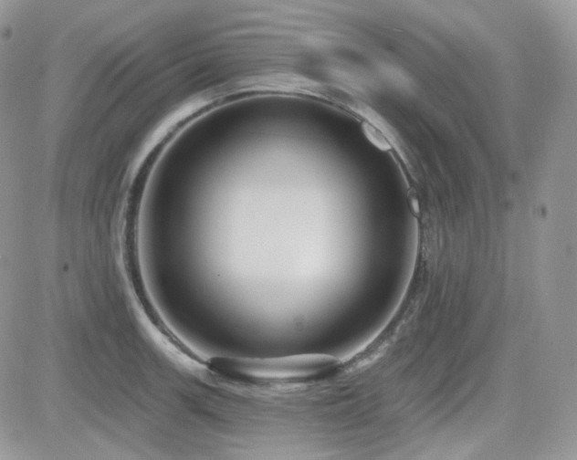 X0000082761139200701261441