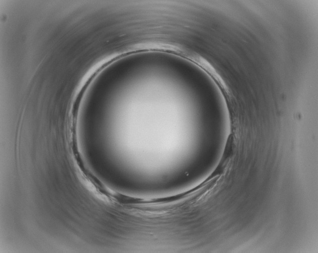 X0000082761140200701261441