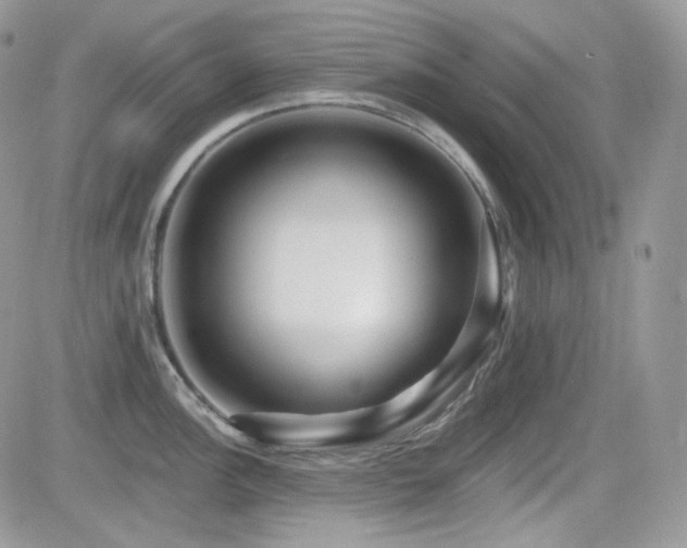 X0000082761148200701261441
