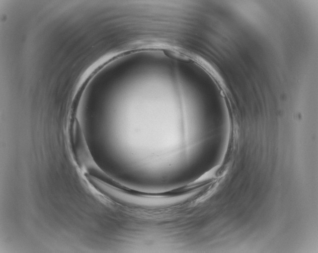 X0000082761149200701261441