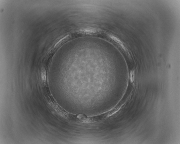 X0000082761155200701261440