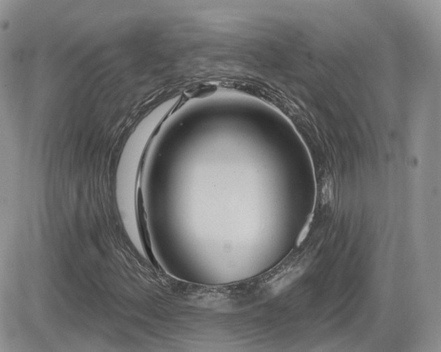 X0000082761156200701261440
