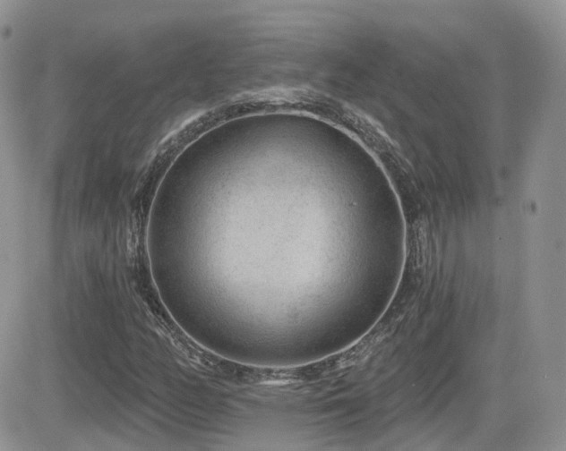 X0000082761158200701261440