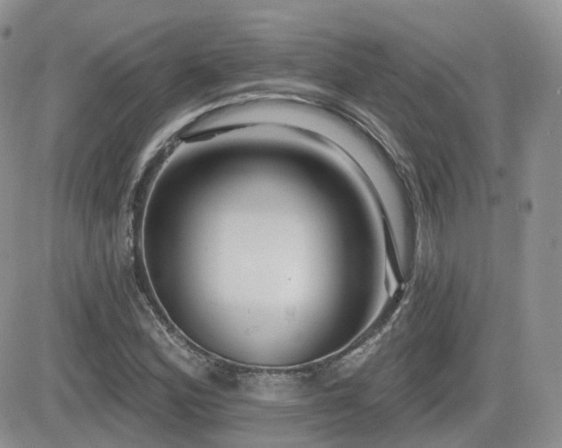 X0000082761164200701261440