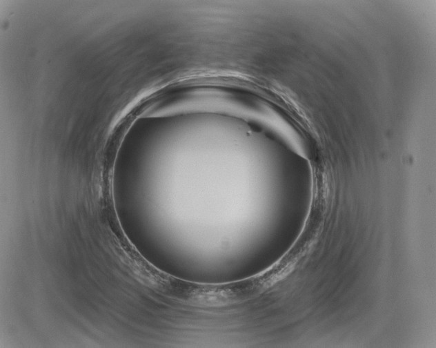 X0000082761165200701261440