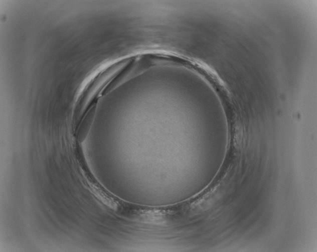 X0000082761167200701261440