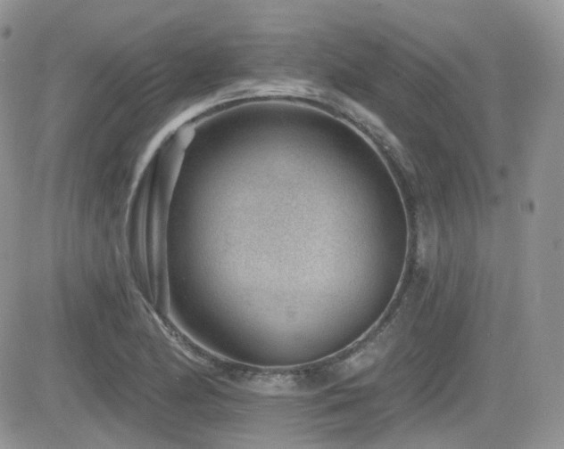 X0000082761174200701261440