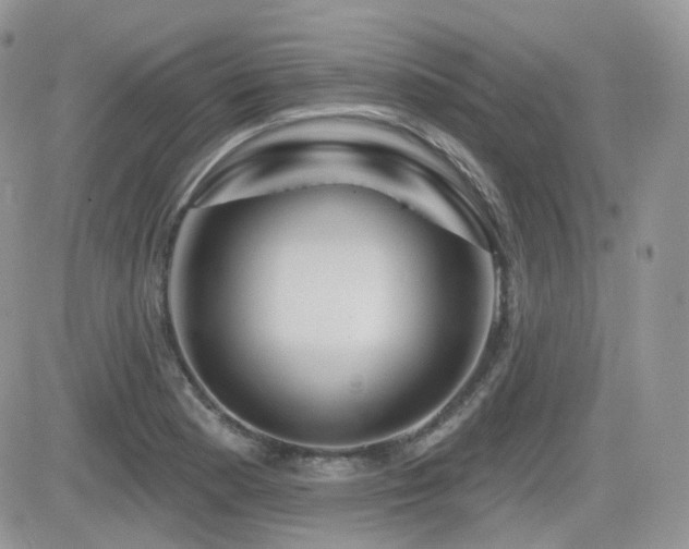 X0000082761177200701261440