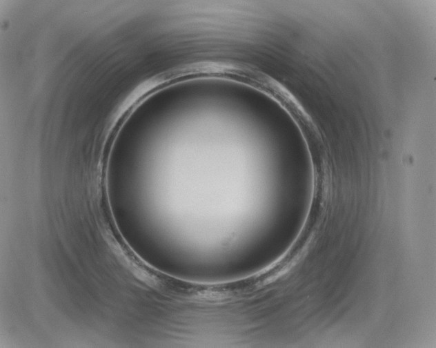 X0000082761178200701261440