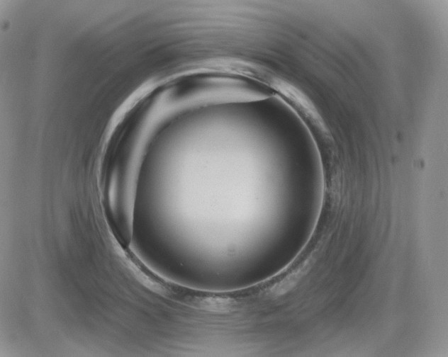 X0000082761180200701261440