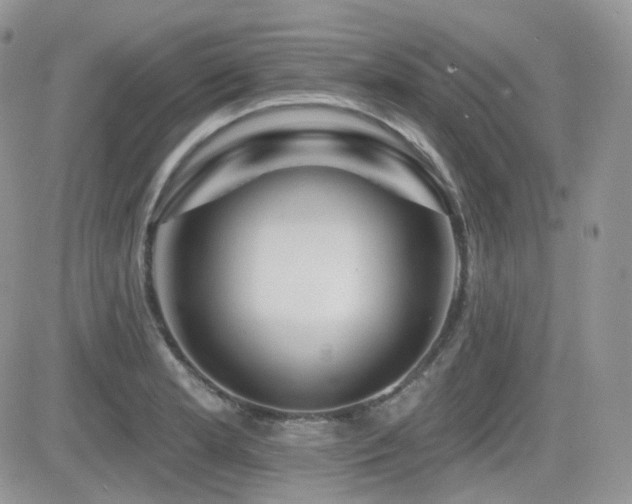 X0000082761181200701261439