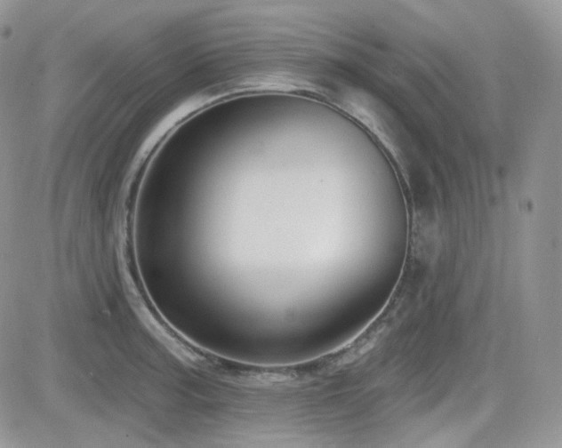 X0000082761187200701261439