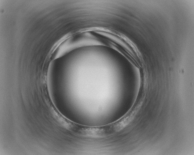 X0000082761193200701261439