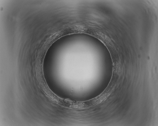 X0000082761201200701261438